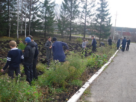 В Карабай-Шемуршинской школе прошел День дерева - учащиеся высадили 36 штук саженцев туи